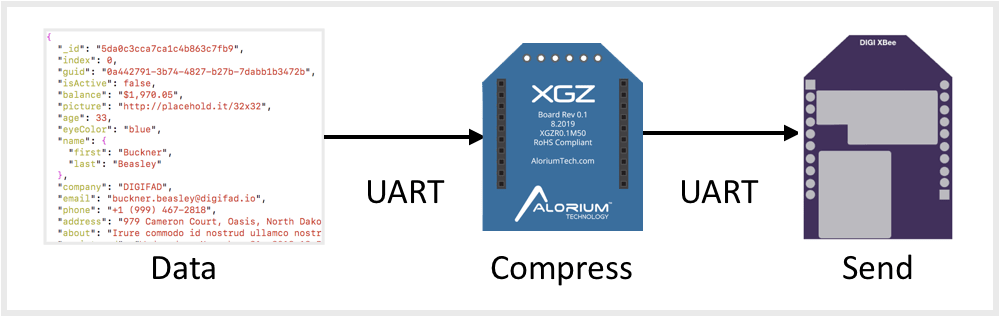 XGZ Compression Module Graphic